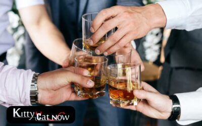 Planning a Bachelor Party in Austin? Let Kitty Cat Now Handle It All!