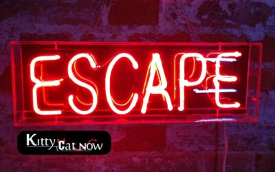Escape the Ordinary: How to Throw a Bachelor Party He’ll Never Forget in Austin