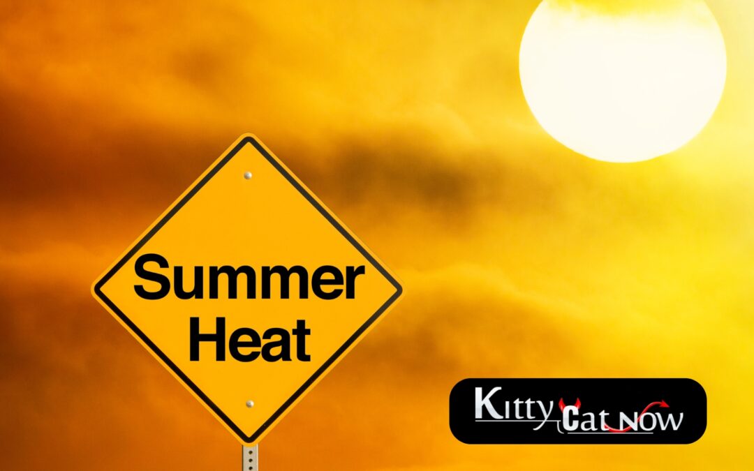 How to Heat Up Your Summer Parties with Exotic Dancers in Austin