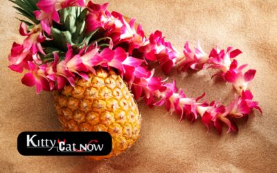 Top 5 Summer Party Themes with Strippers In Austin