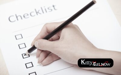 Austin Bachelor Party Planning Checklist: Fall Edition