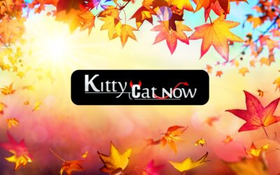 Why Fall Is the Best Season for Bachelor & Bachelorette Parties in Austin