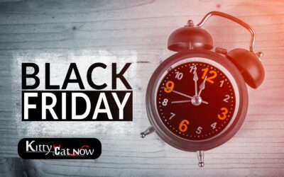 Black Friday Party Ideas: Celebrate Big with Exotic Dancers in Austin