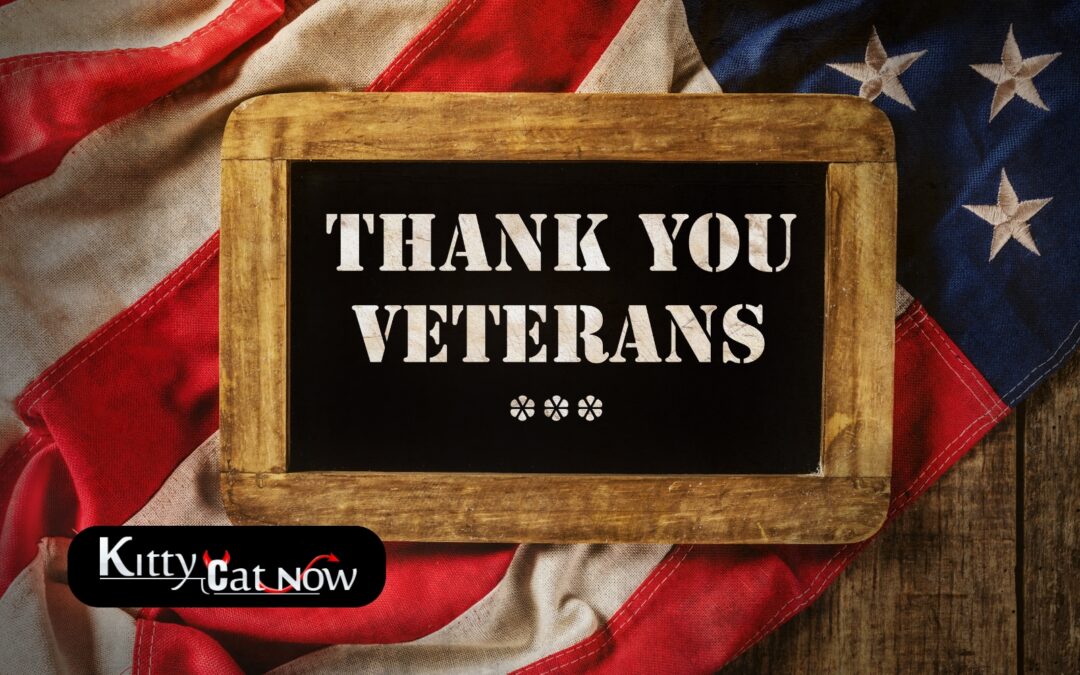 Veterans Day Ideas: Private Entertainers Bring the Party to You in Austin