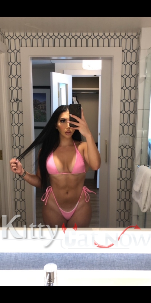 Kitty Cat Now Cleo Austin