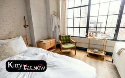 Planning a Private Airbnb Party with Strippers in Austin