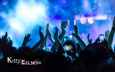 Why Booking Strippers from an Agency Is Safer Than Independents in Austin