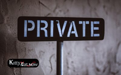 Why Private Party Entertainment Beats the Club Scene in Austin