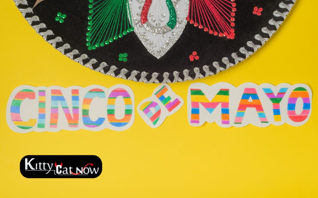 Cinco de Mayo Party Ideas in Austin: Tacos, Tequila & Private Strippers