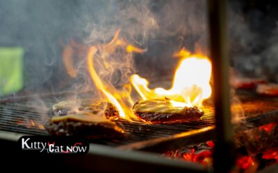 Memorial Day Party Ideas in Austin: BBQ, Private Entertainment & VIP Vibes