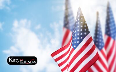Memorial Day Party Ideas in Austin with Strippers