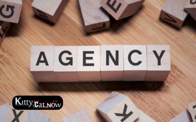 How to Choose a Legit Stripper Agency in Austin