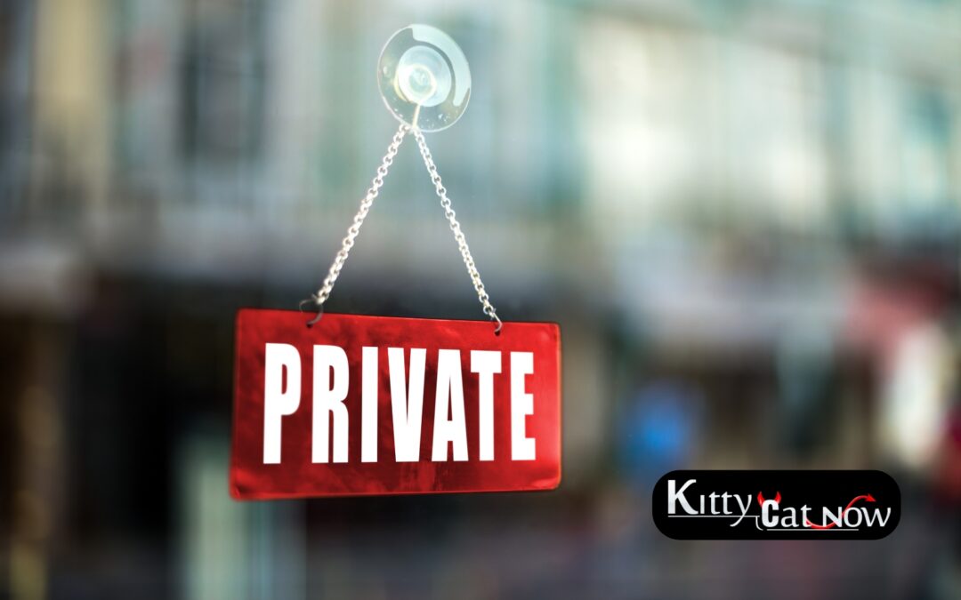 Strippers in Austin: Why Private Entertainment is the New Standard