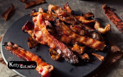 Boobs & Bacon in Austin: The Ultimate Sunday Morning Bachelor Party Experience