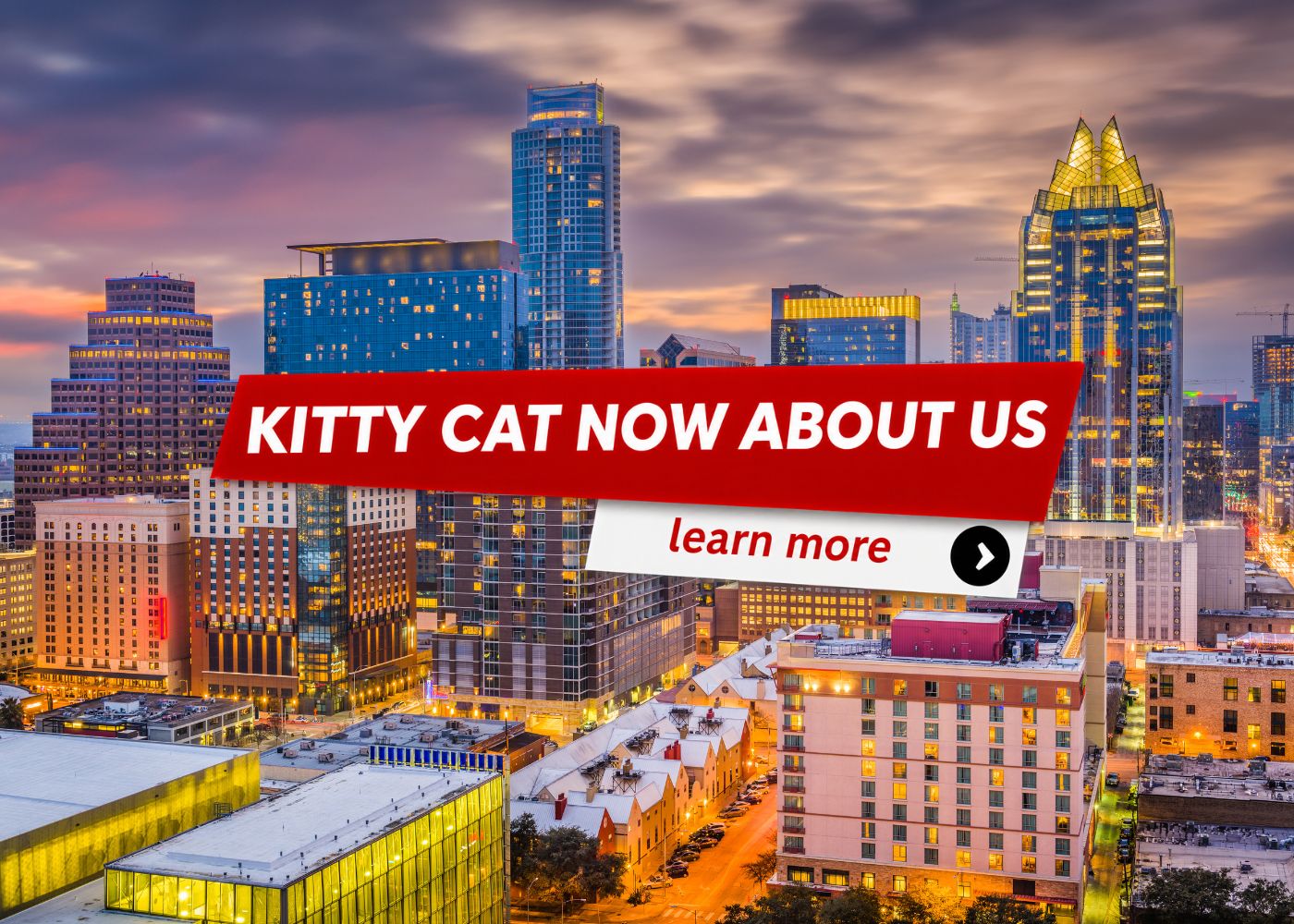 Kitty Cat Now Austin-About Us