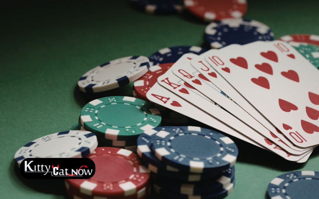 Poker Night Upgrade: Private Entertainment for Your Austin Home Game