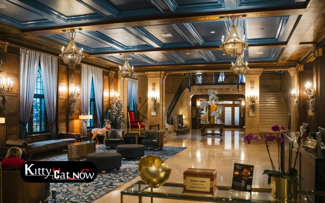 Hotel Suite vs. House Rental: Where to Host Your Austin Bachelor Party