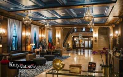Hotel Suite vs. House Rental: Where to Host Your Austin Bachelor Party